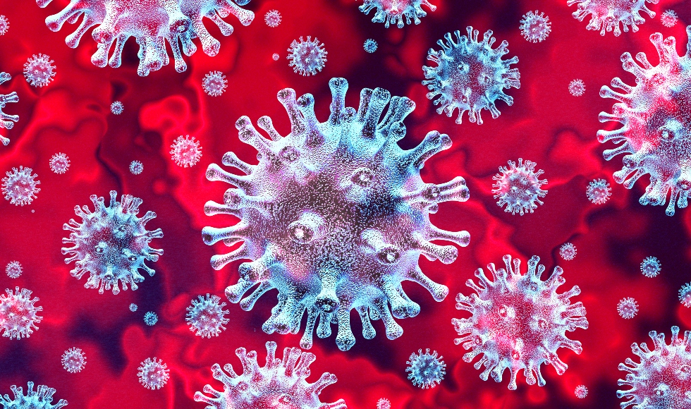 What the Coronavirus teaches us about knowledge